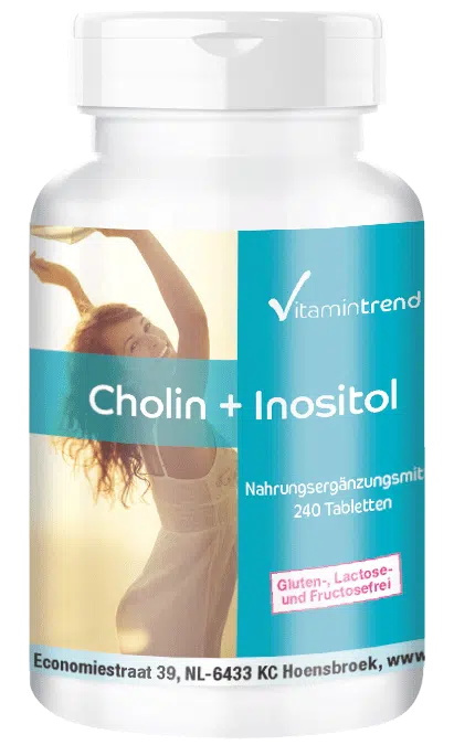 Choline 100mg + inositol 250mg 240 tabletten, veganistisch, grootverpakking voor 8 maanden